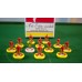 Subbuteo Andrew Table Soccer Melchester Rovers on WSB Professional Bases